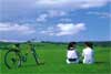 ̃LpX